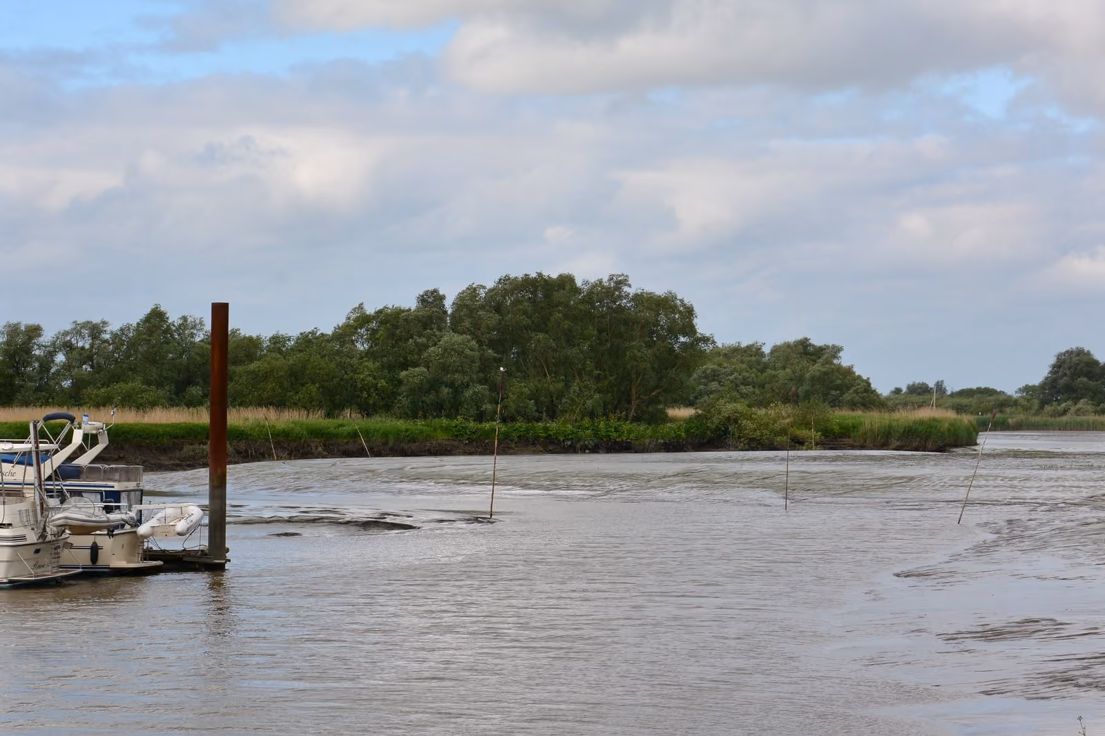 Der Haseldorfer Hafen mit einem Boot am Steg, dahinter das Elbvorland